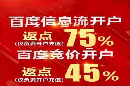电商信息流推广策略：案例分析及优化