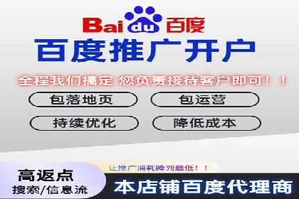 百度推广计费模式案例：如何实现广告投放的ROI最大化